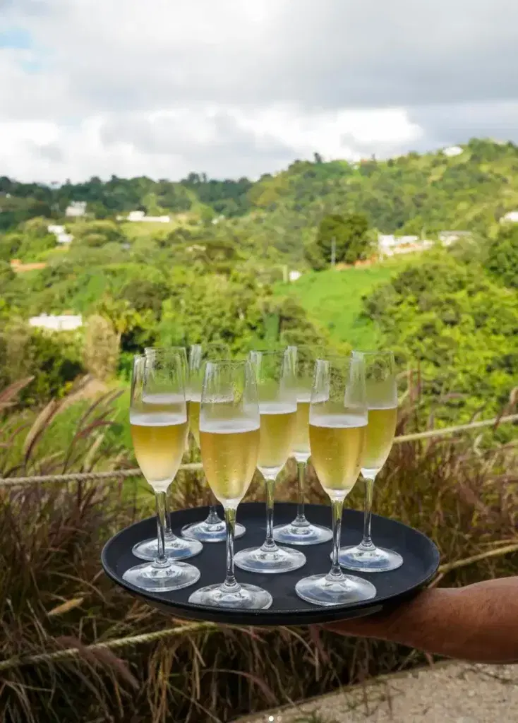 38 restaurantes y barras con vistas increíbles para disfrutar en Puerto Rico