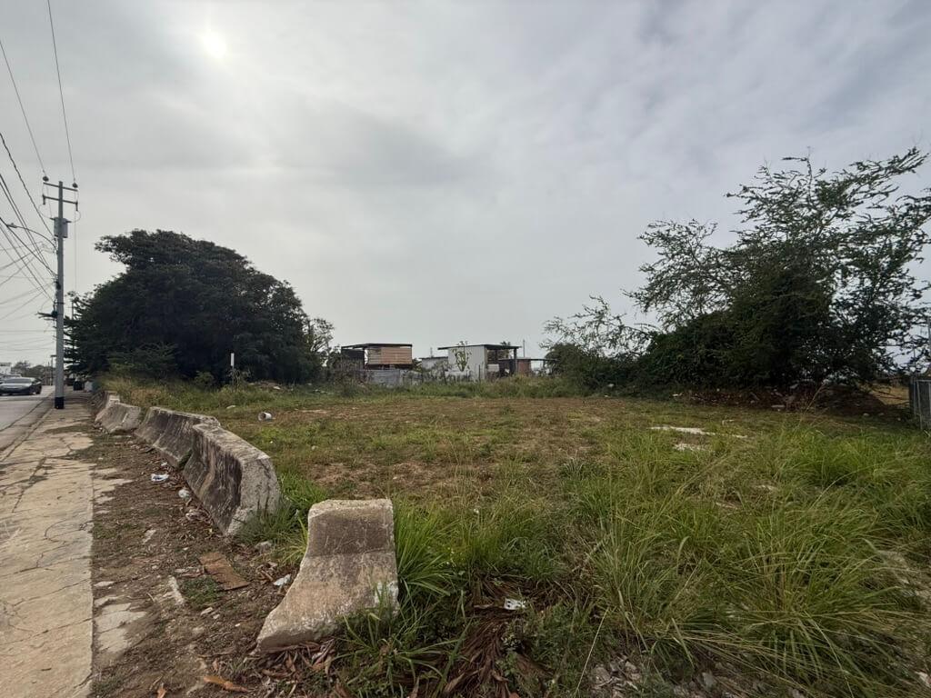 Esto planean hacer los compradores de estorbos en la primera subasta pública de Isabela