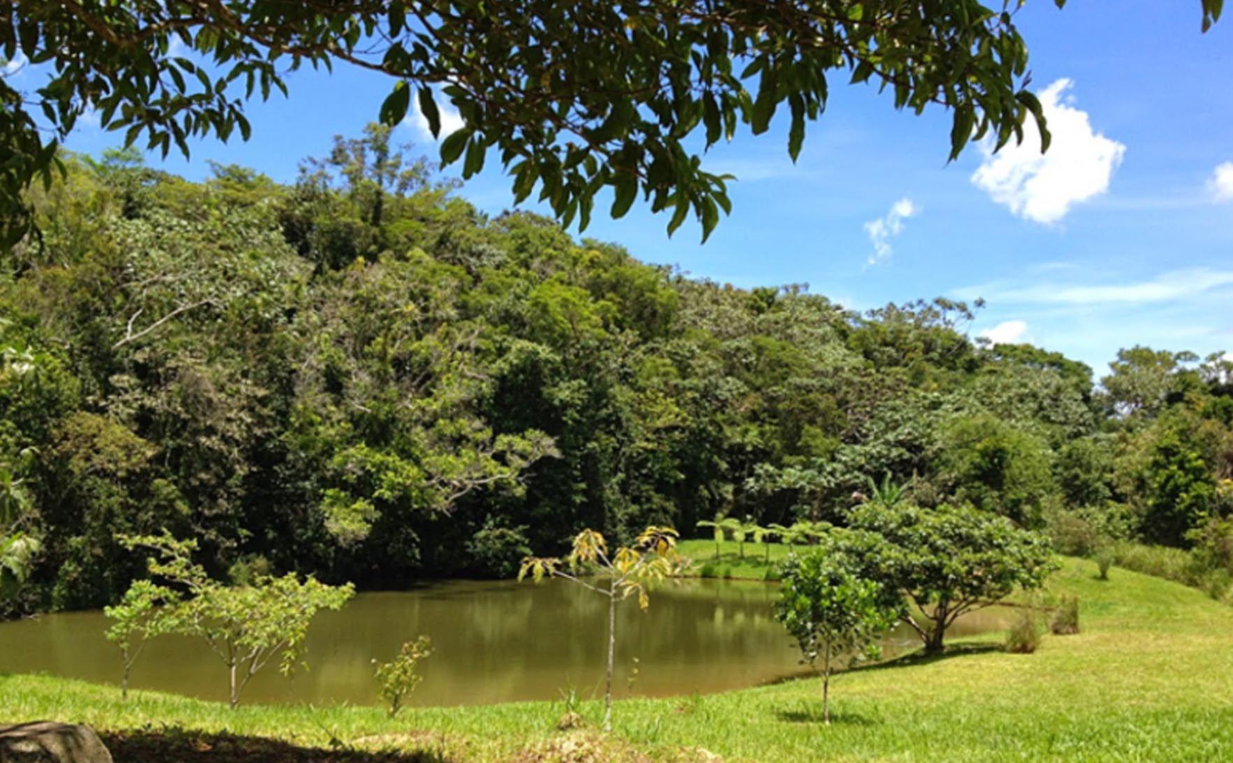 Bosque Estatal Monte Choca
