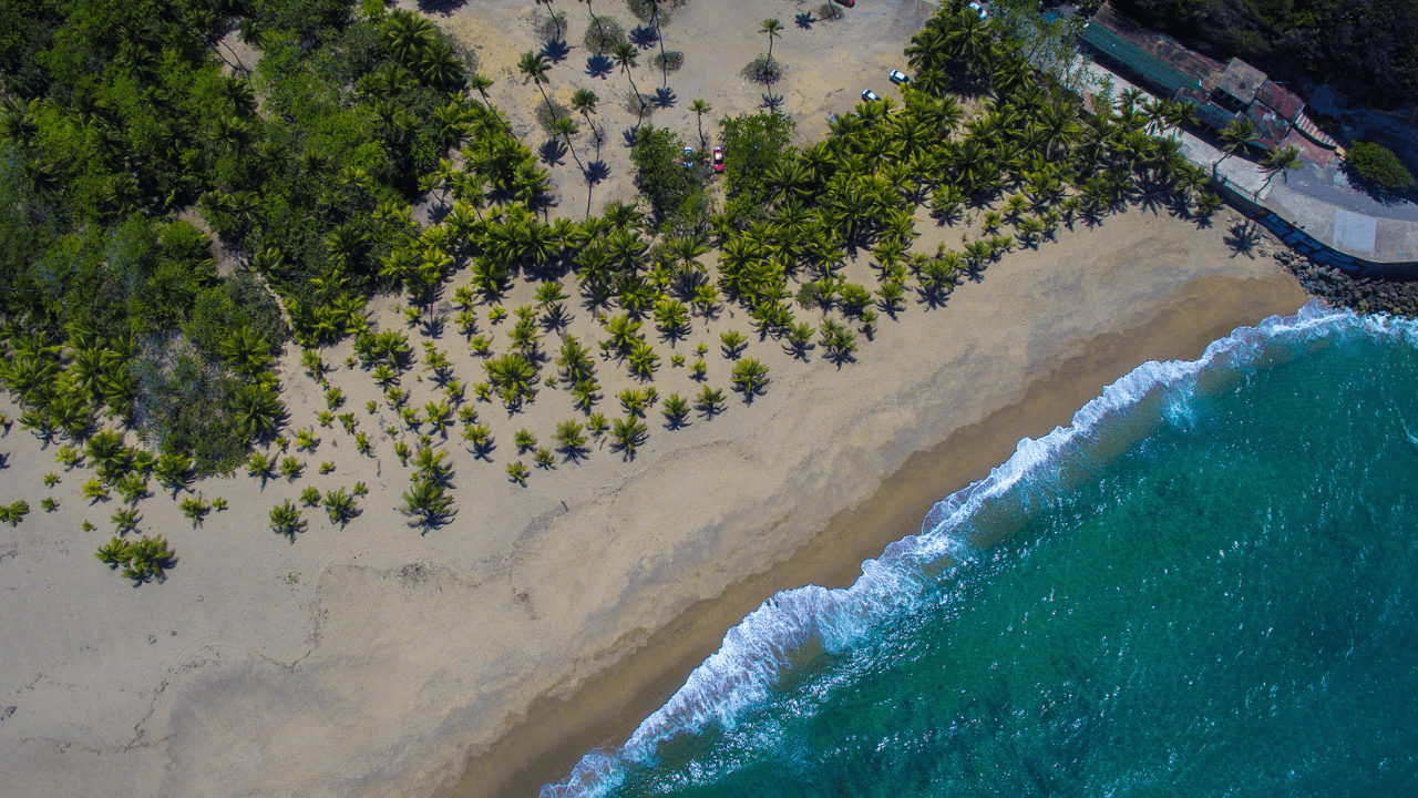 justicia-demanda-a-empresas-multinacionales-por-danos-ambientales-en-la-isla