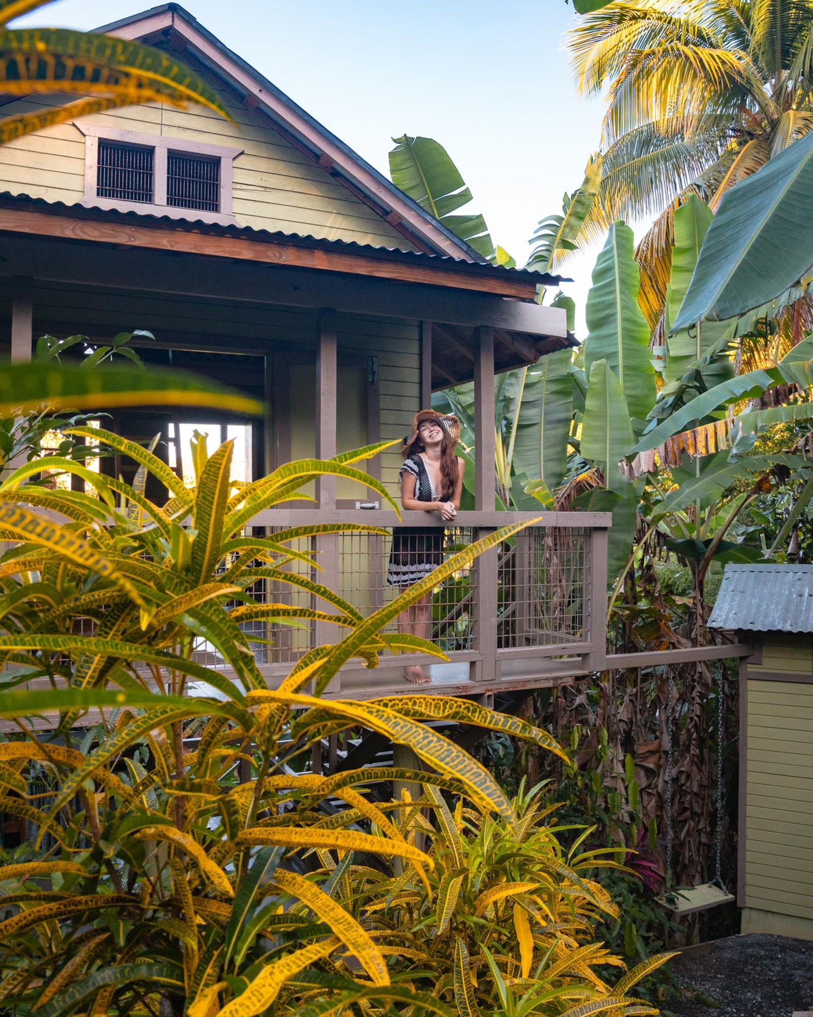 Google owner photo. Attribution: Finca Figueroa (https://maps.google.com/maps/contrib/102375077661162844371)