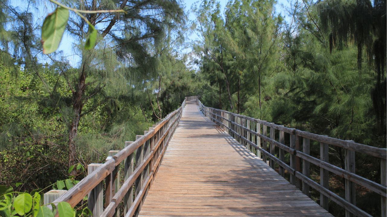 las-mejores-rutas-para-correr-en-puerto-rico