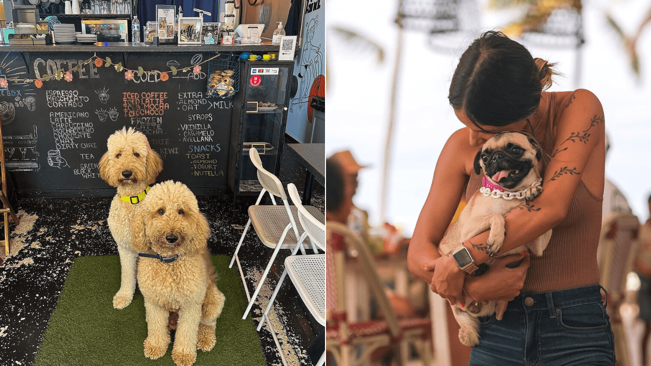 restaurantes-participantes-del-pet-friendly-restaurante-week