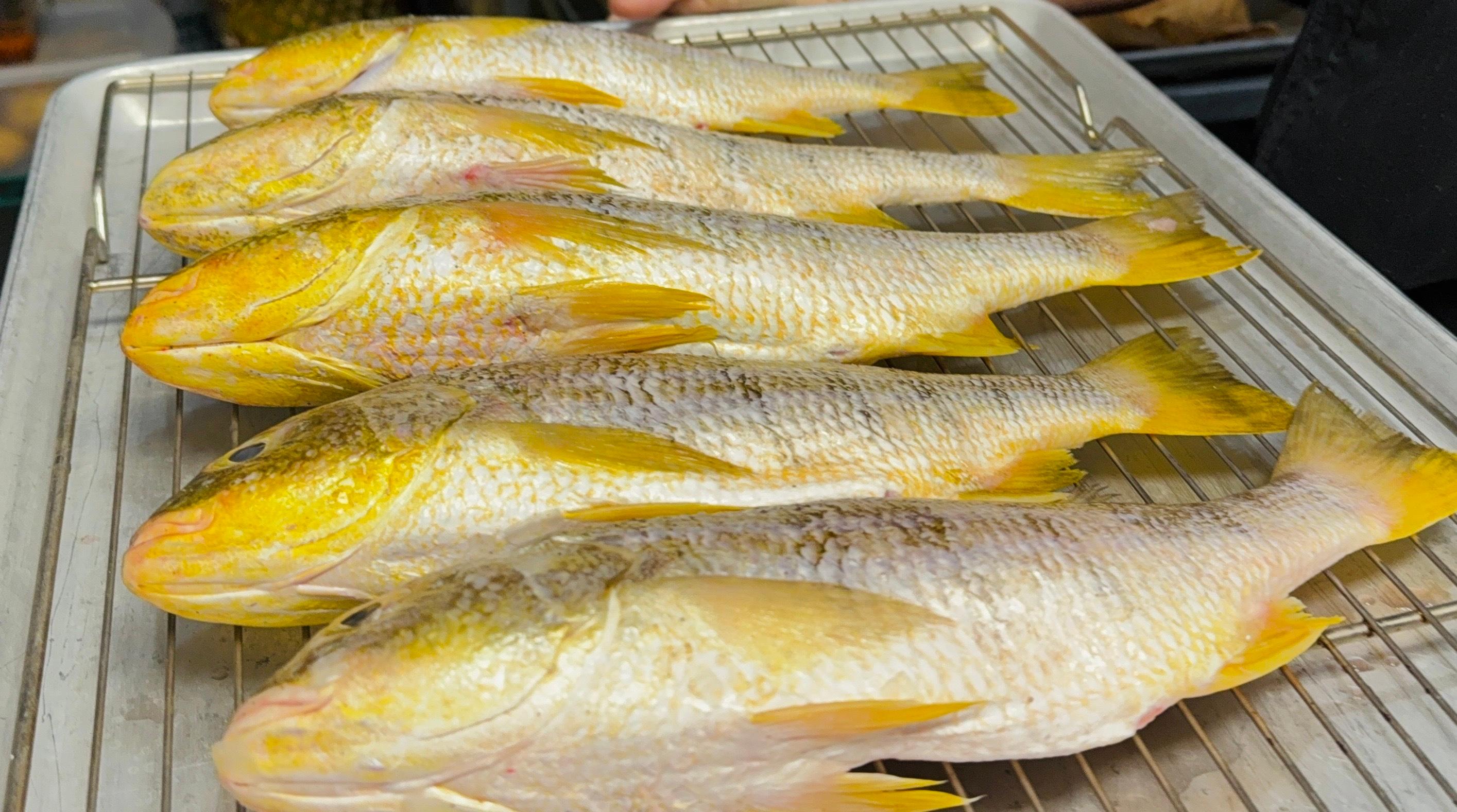 Pescado fresco de Andaluz