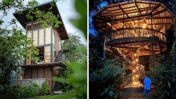 tree-houses-puerto-rico