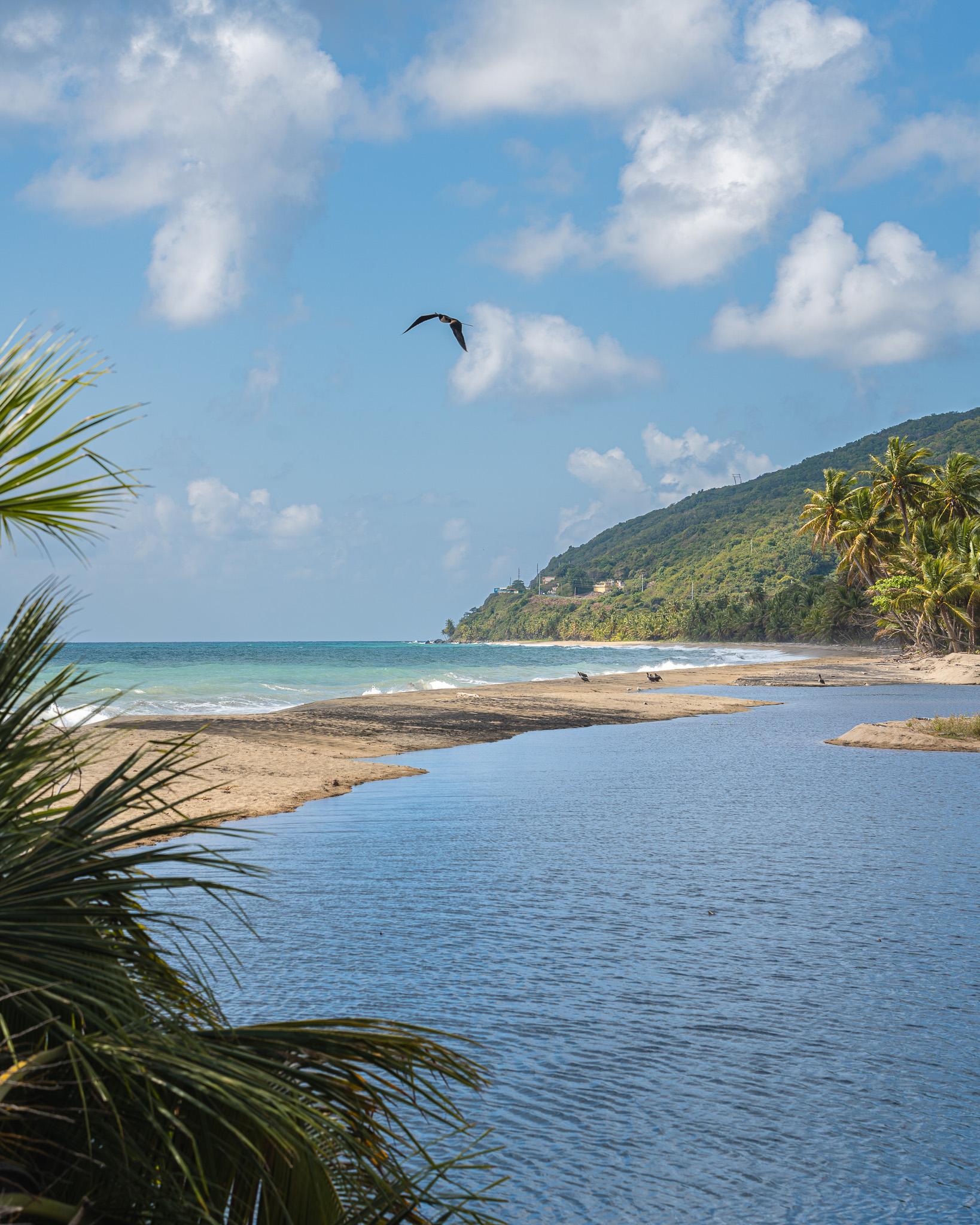 Foto de Maunabo