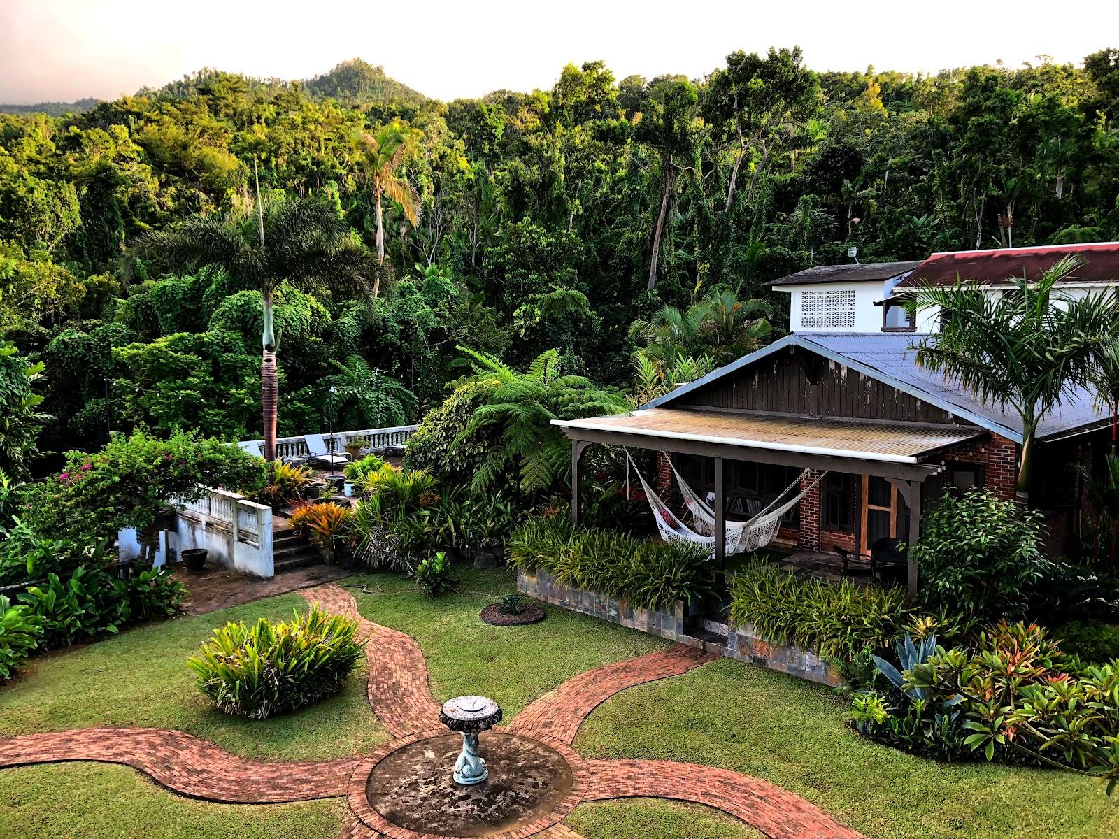 Google owner photo. Attribution: Rainforest Inn (https://maps.google.com/maps/contrib/116483033122189328034)