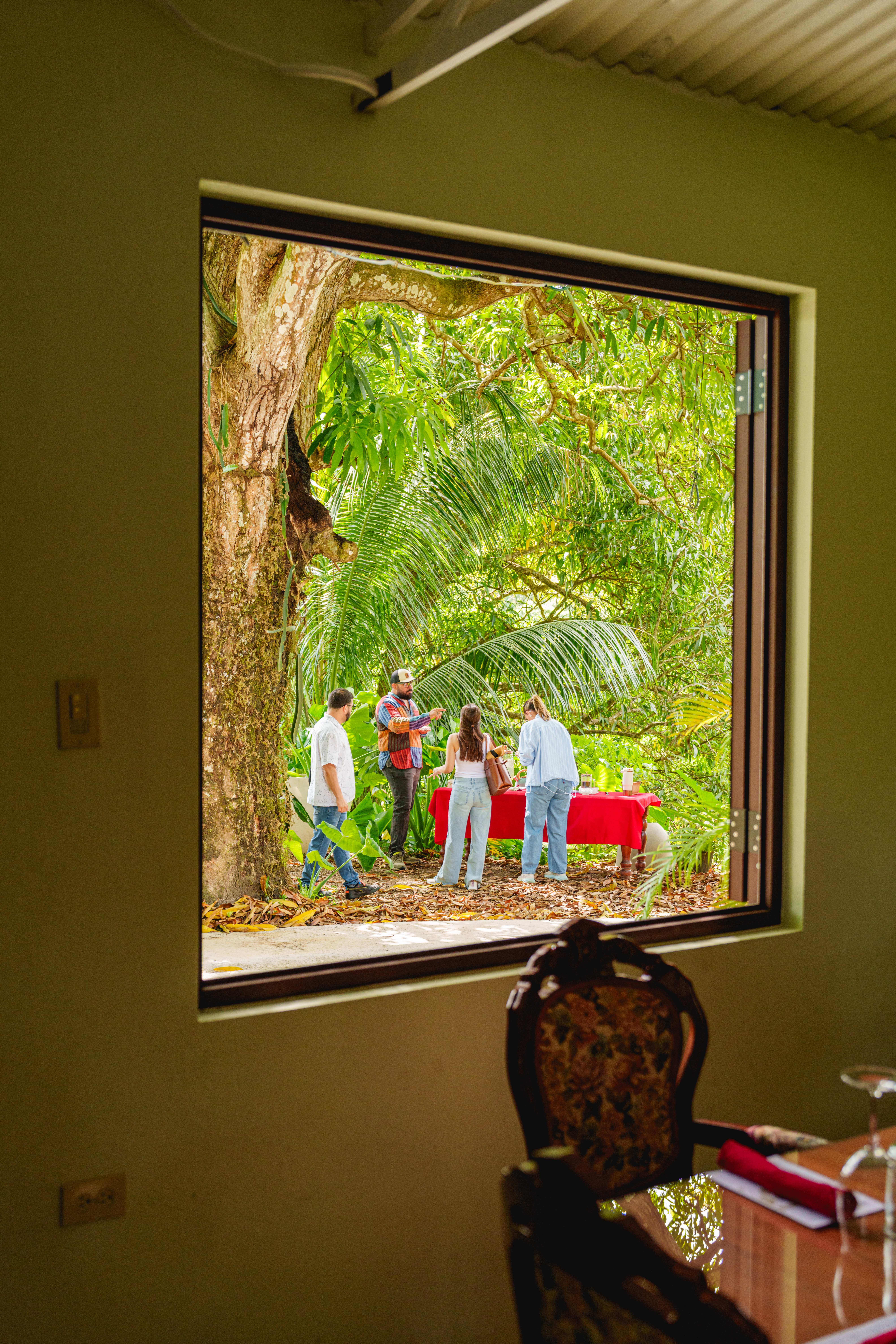 Vista desde una ventana hacia un grupo de personas alrededor de una mesa con mantel rojo en un jardín tropical