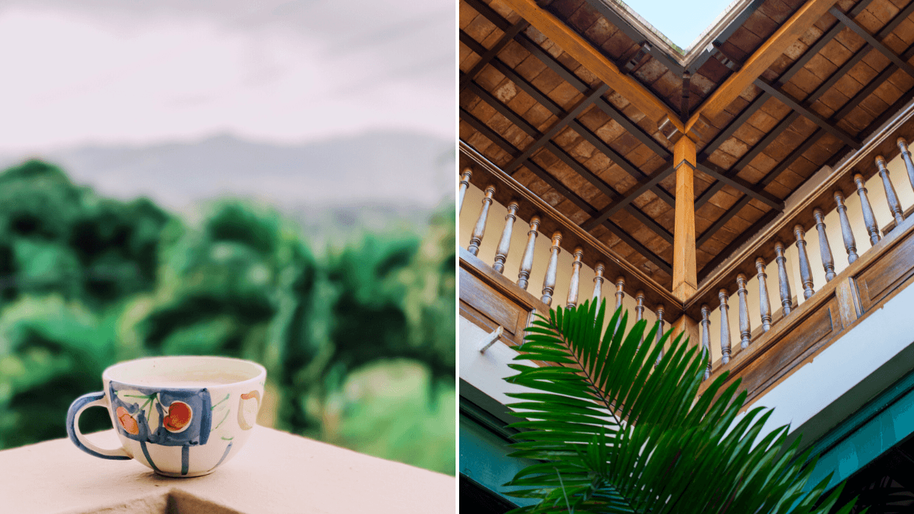 tours-cafe-centro-de-la-isla