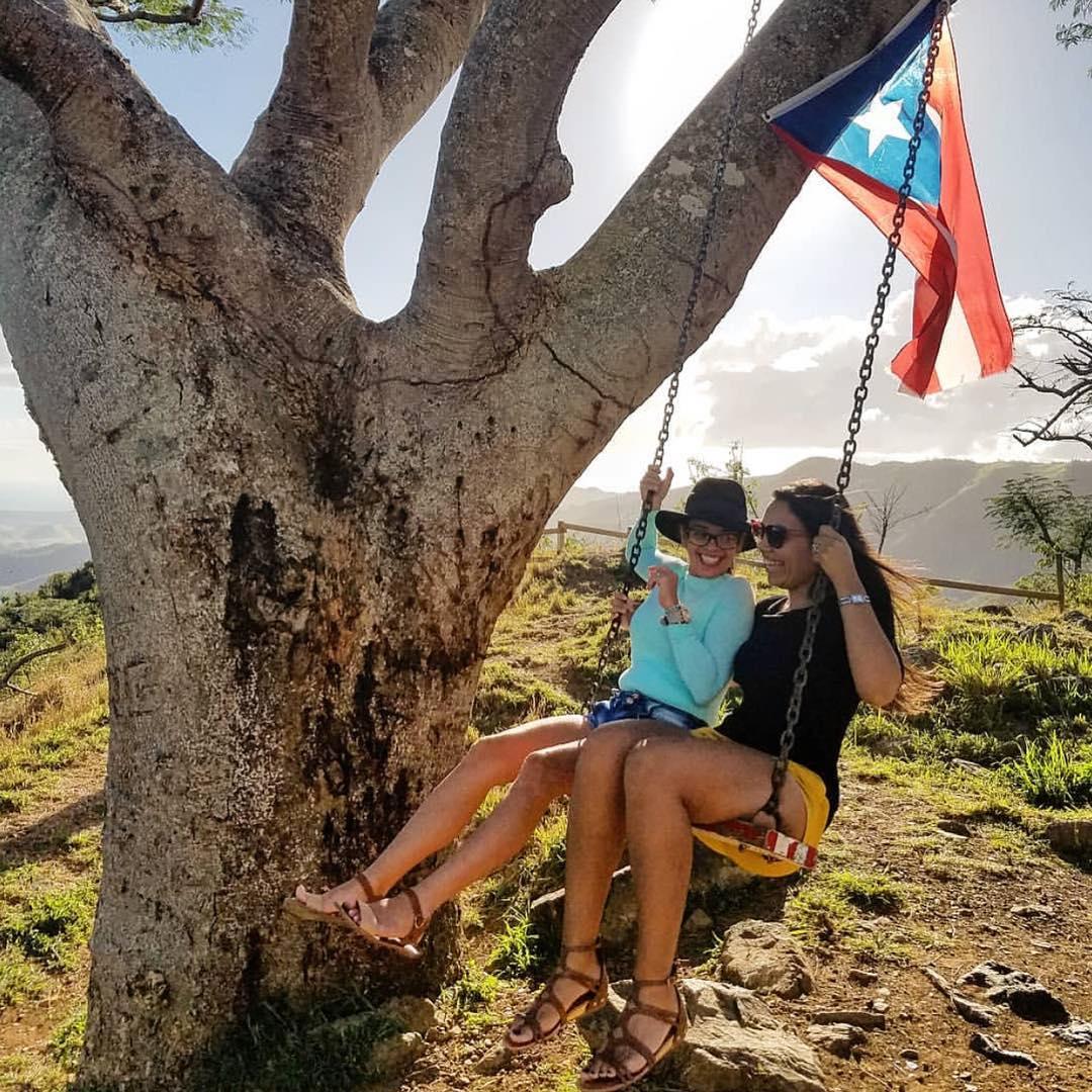 Google owner photo. Attribution: La Curva del Árbol (https://maps.google.com/maps/contrib/100367423014228085274)