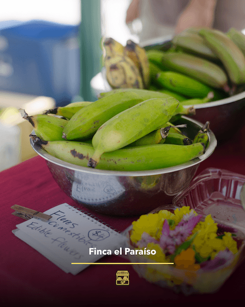 Farmers-market-02-2.png
