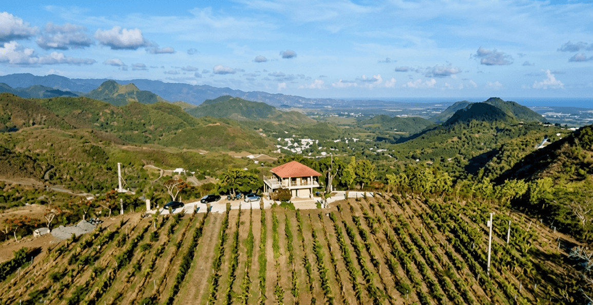 Hacienda San Jerónimo: finca con viñedo en venta en Santa Isabel