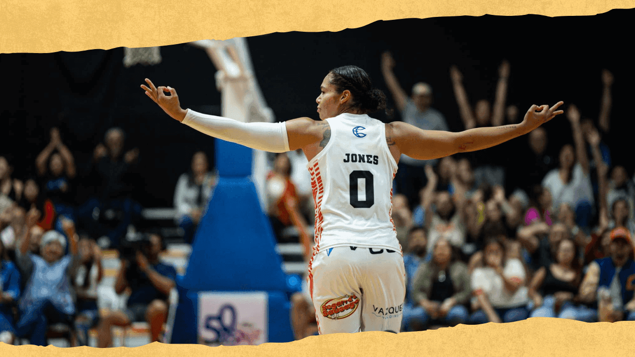 bsnf-que-saber-lista-de-equipos-calendario