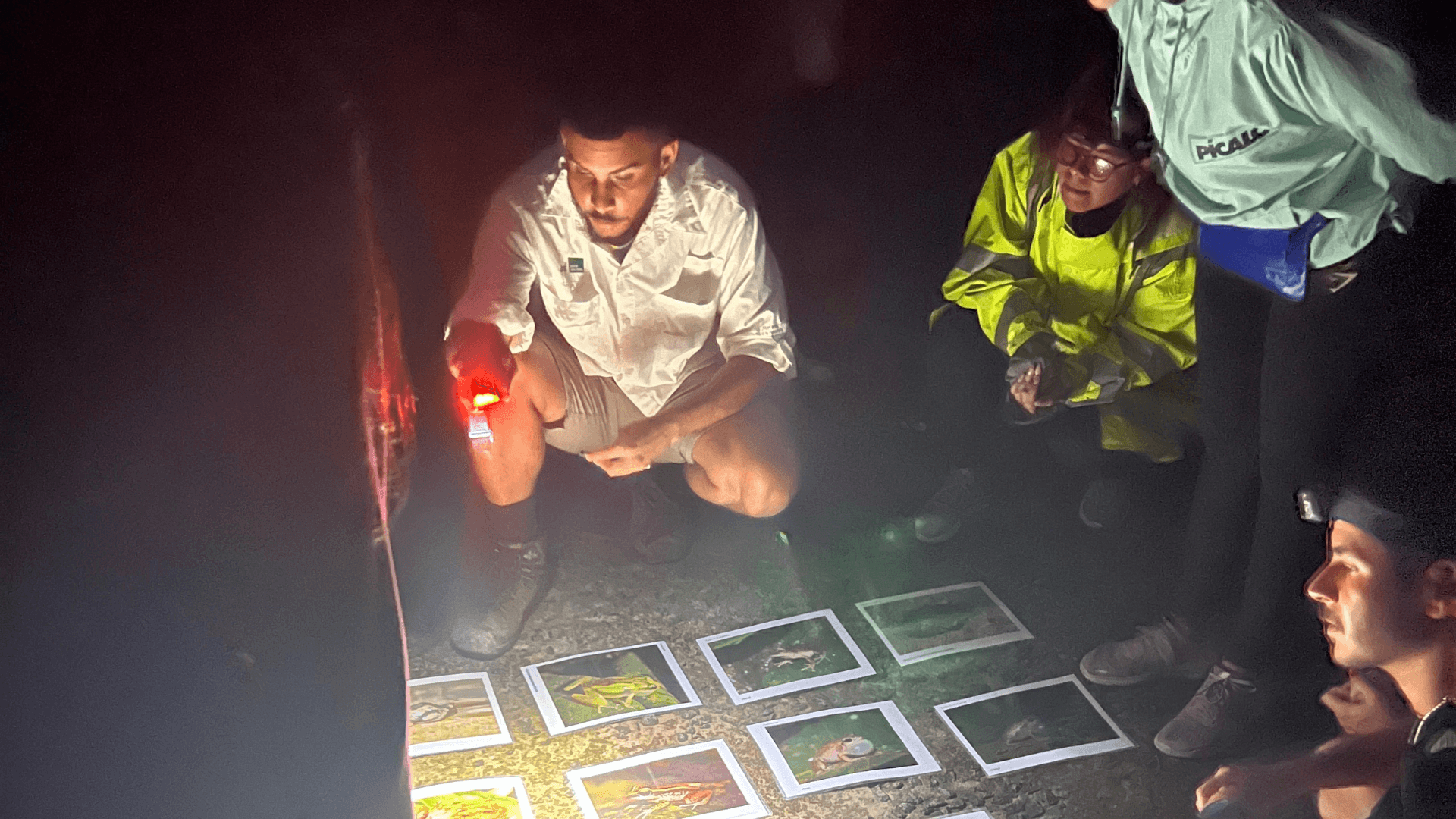 tours-nocturnos-en-puerto-rico