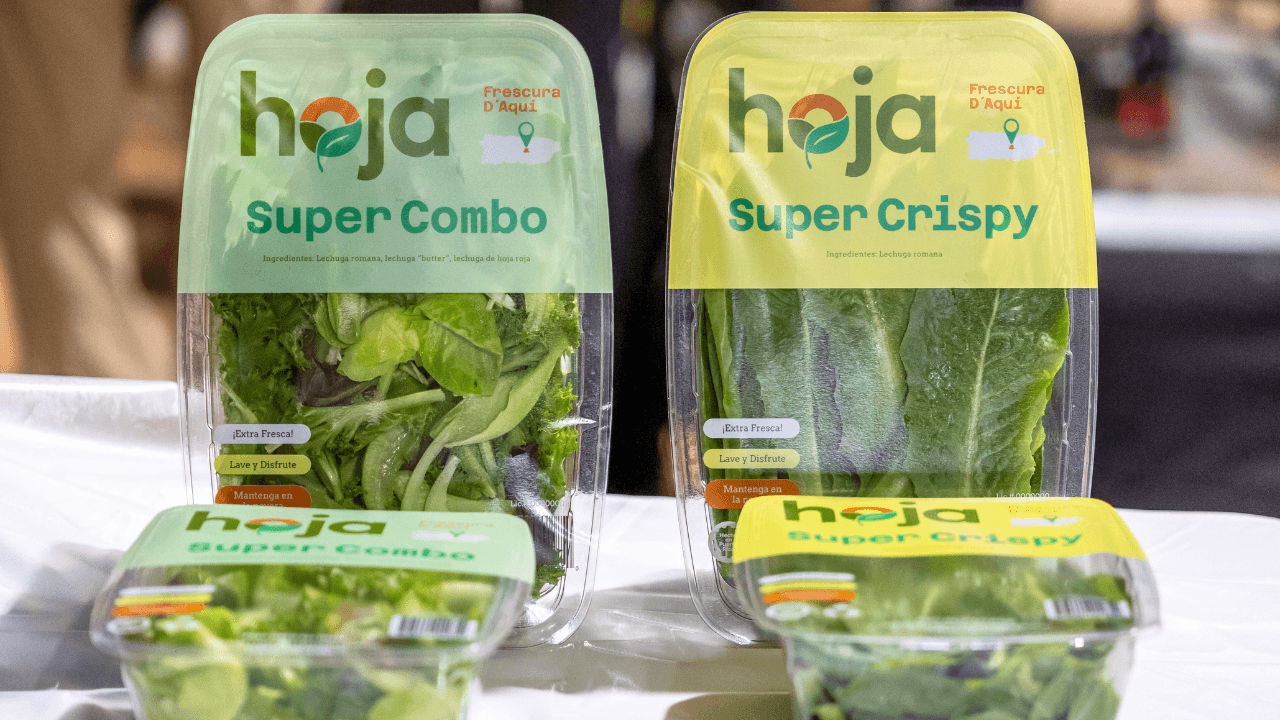 una-de-las-fincas-hidroponicas-mas-grandes-del-caribe-estara-en-barranquitas