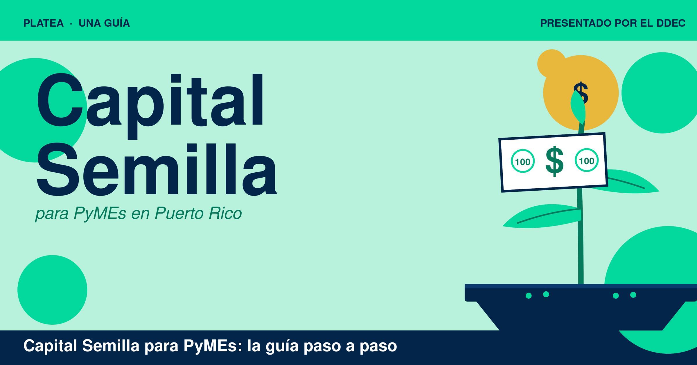 Guía para solicitar los incentivos de capital semilla para PyMEs