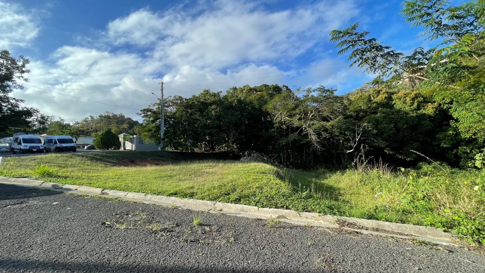 Terreno in Anasco