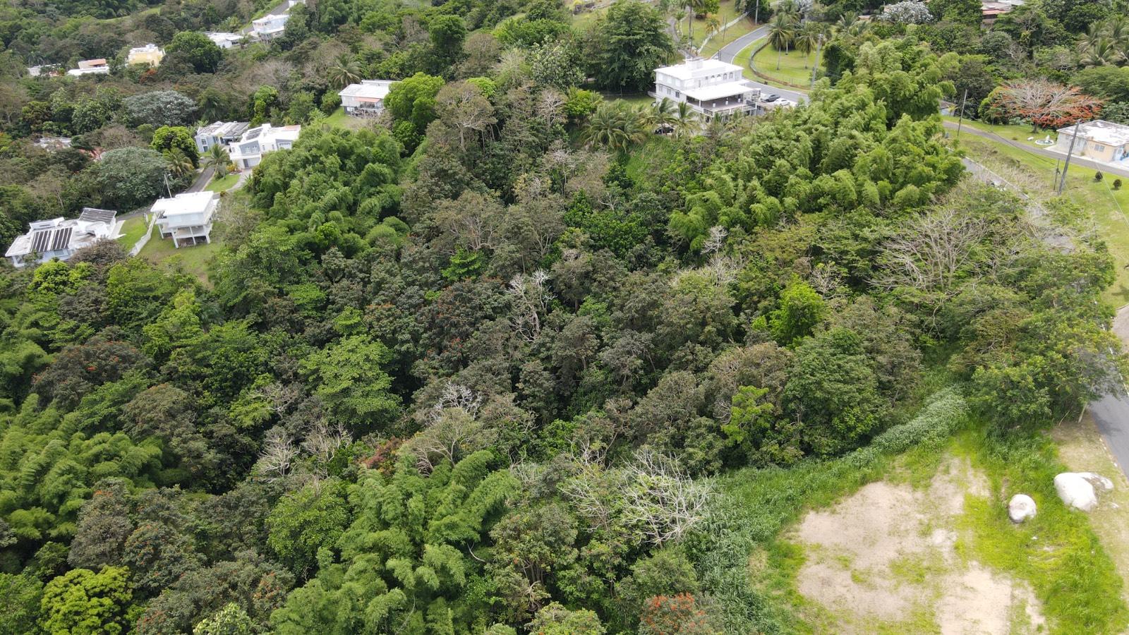 Terreno in Humacao