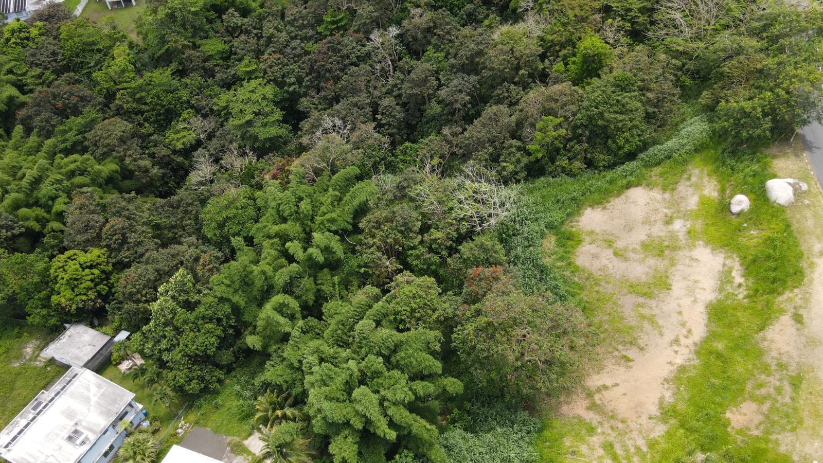 Terreno in Humacao