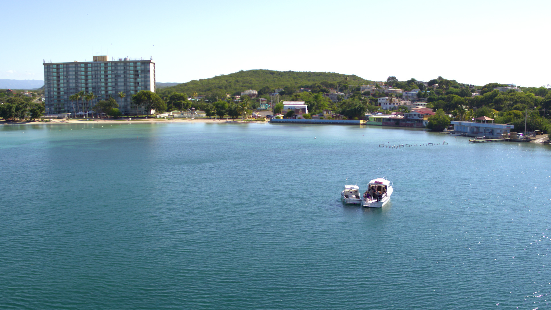 Best Snorkeling and Diving Spots in Puerto Rico Platea