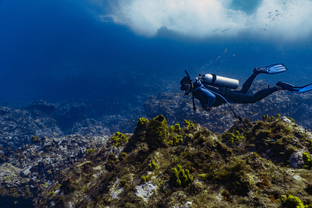 Man diving at Mona Puerto Rico