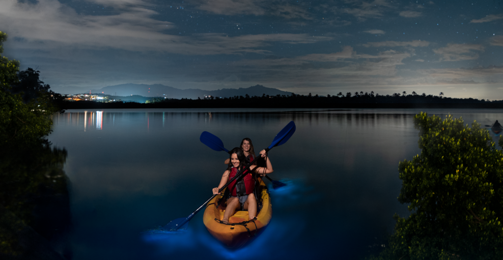 Guide To Bioluminescent Bays In Puerto Rico Platea 2022 