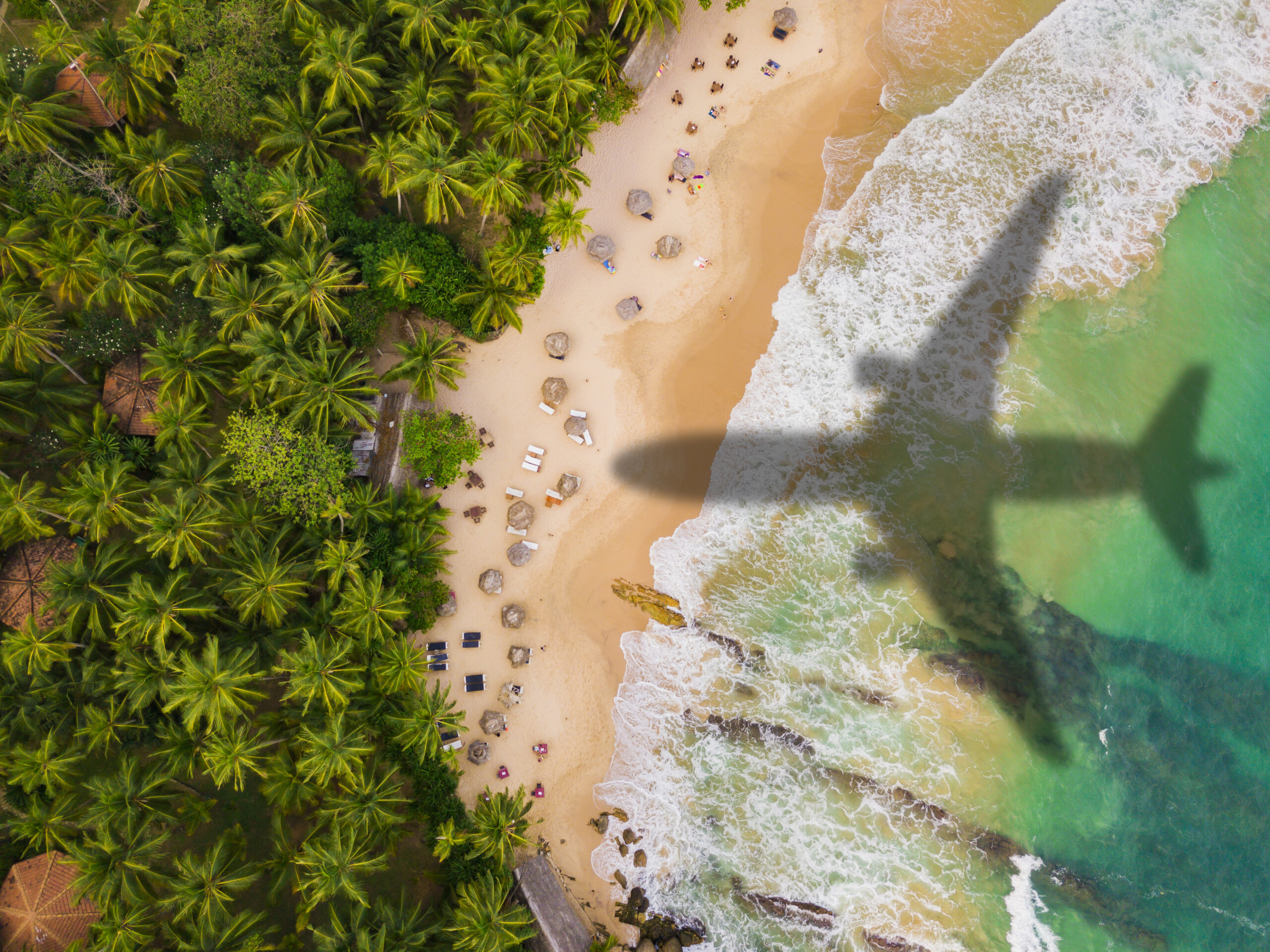 Airplane silhouette over a tropical beach with palm trees. Travel and resort vacation concept