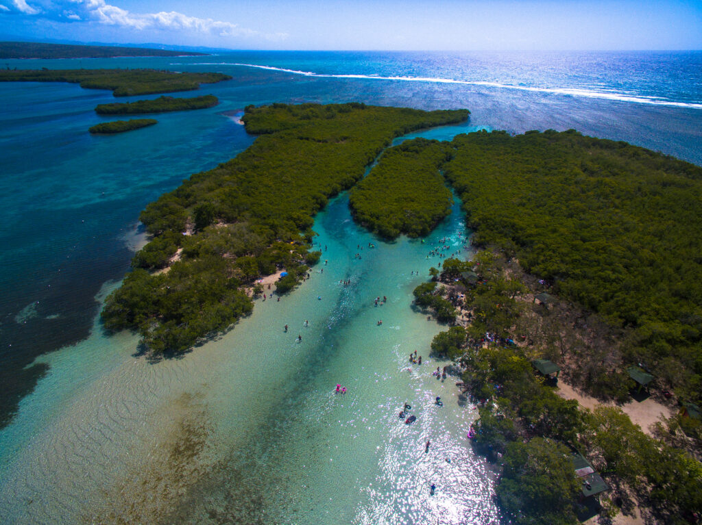 Gilligan's Island, Puerto Rico
