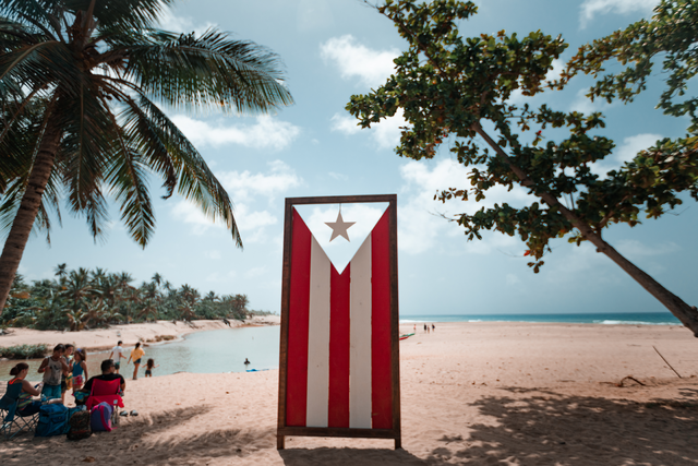 Puerto Rican Flag 