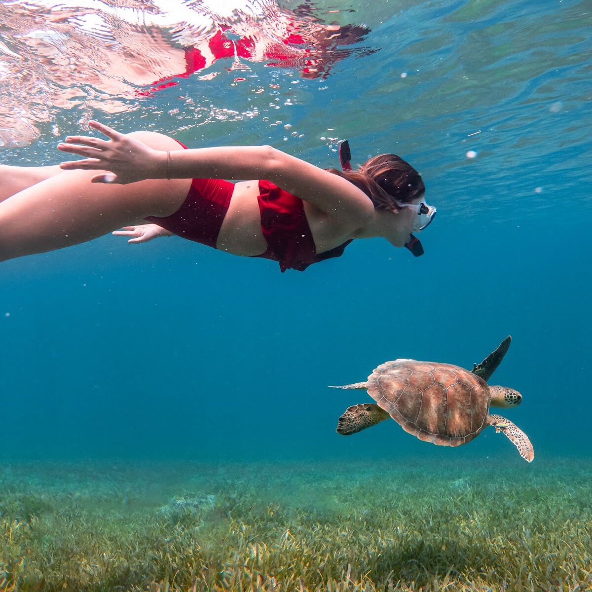 Snorkeling At Culebra