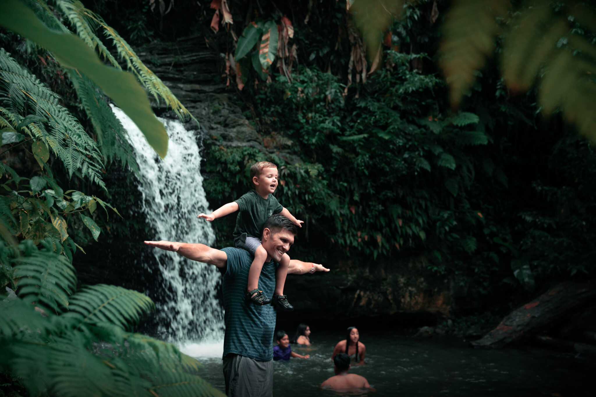 Best Hikes in El Yunque National Forest in Puerto Rico Platea