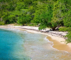 Playa Jaboncillo beach Puerto Rico nobody at day