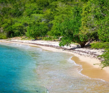 Playa Jaboncillo beach Puerto Rico nobody at day