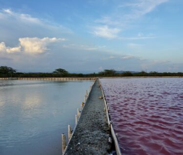 Salinas de Cabo Rojo