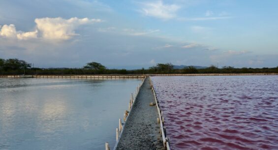 Salinas de Cabo Rojo image