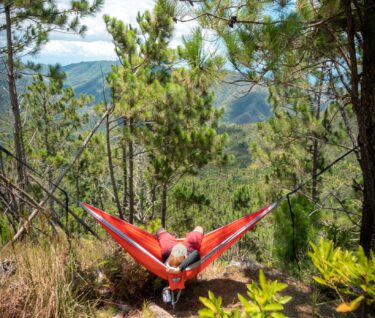 Bosque de Pinos Cayey