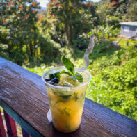 AlaVera Bar and Grill - mojito