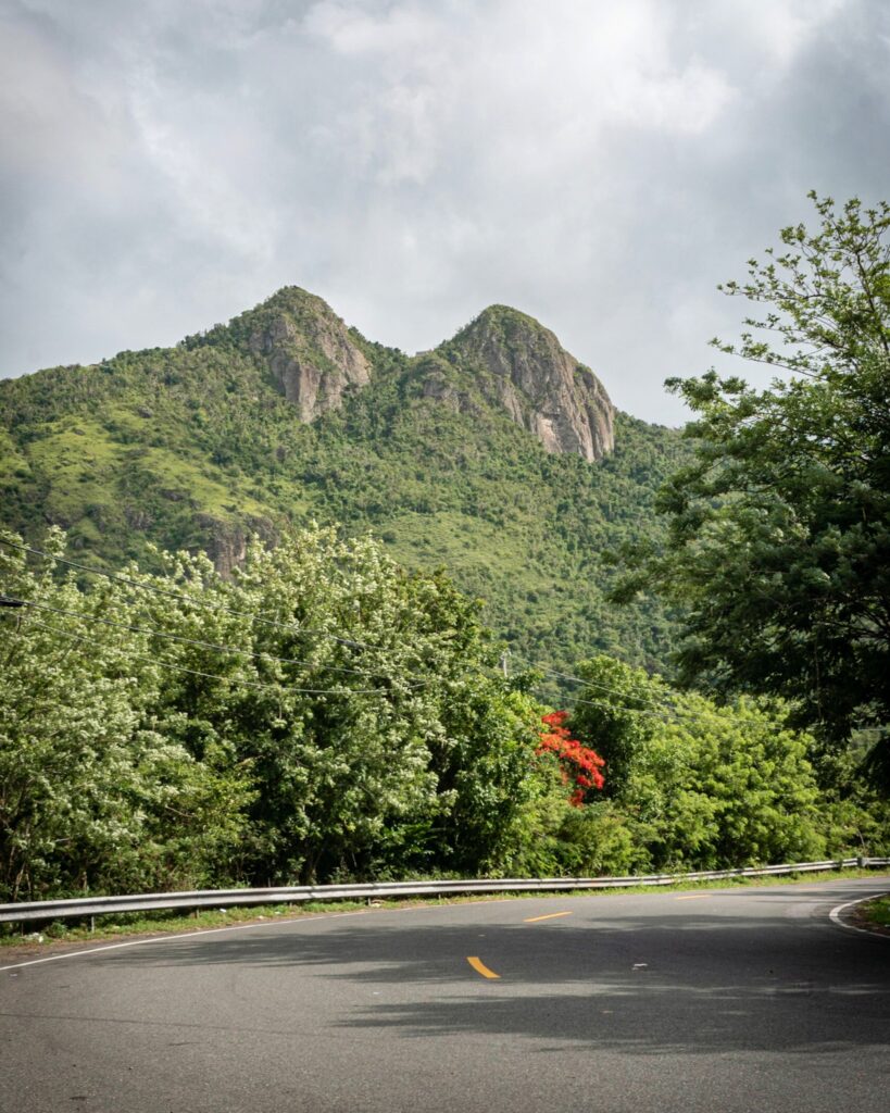 De road trip por las montañas de Cayey Platea