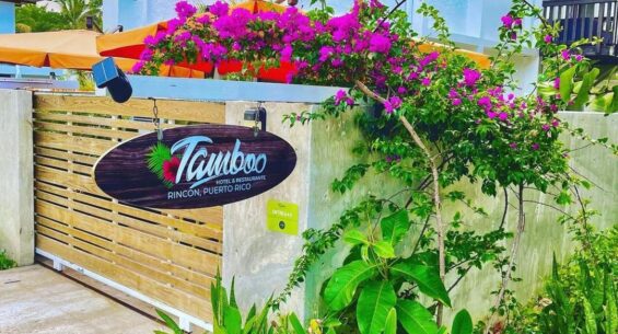 Tamboo image