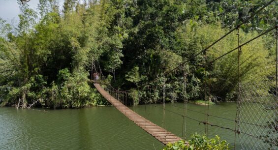 Puente Hamaca image