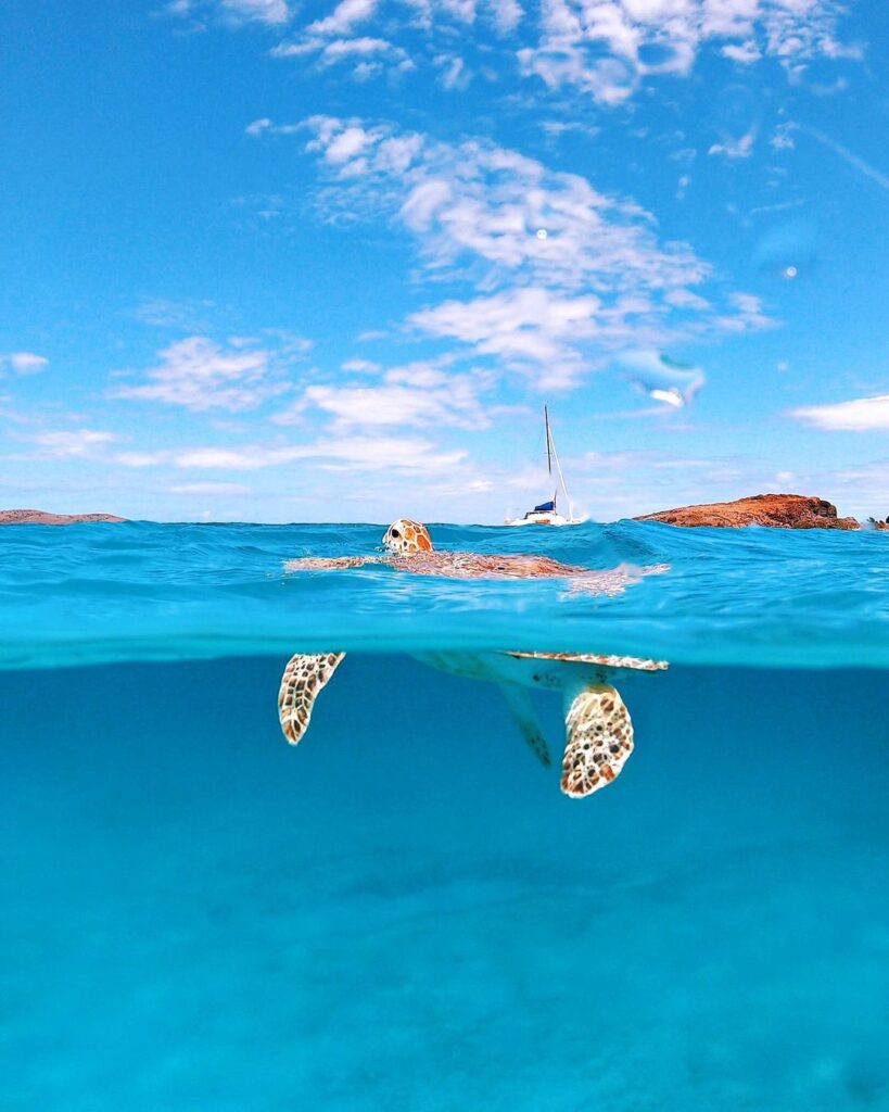 Culebrita playa para snorkeling