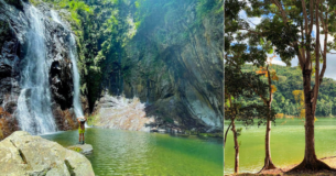 Lugares para visitar en Yauco