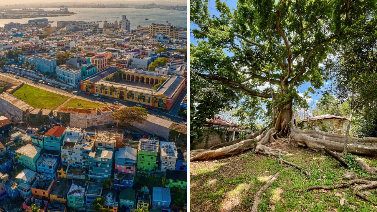 Tours en Puerto Rico