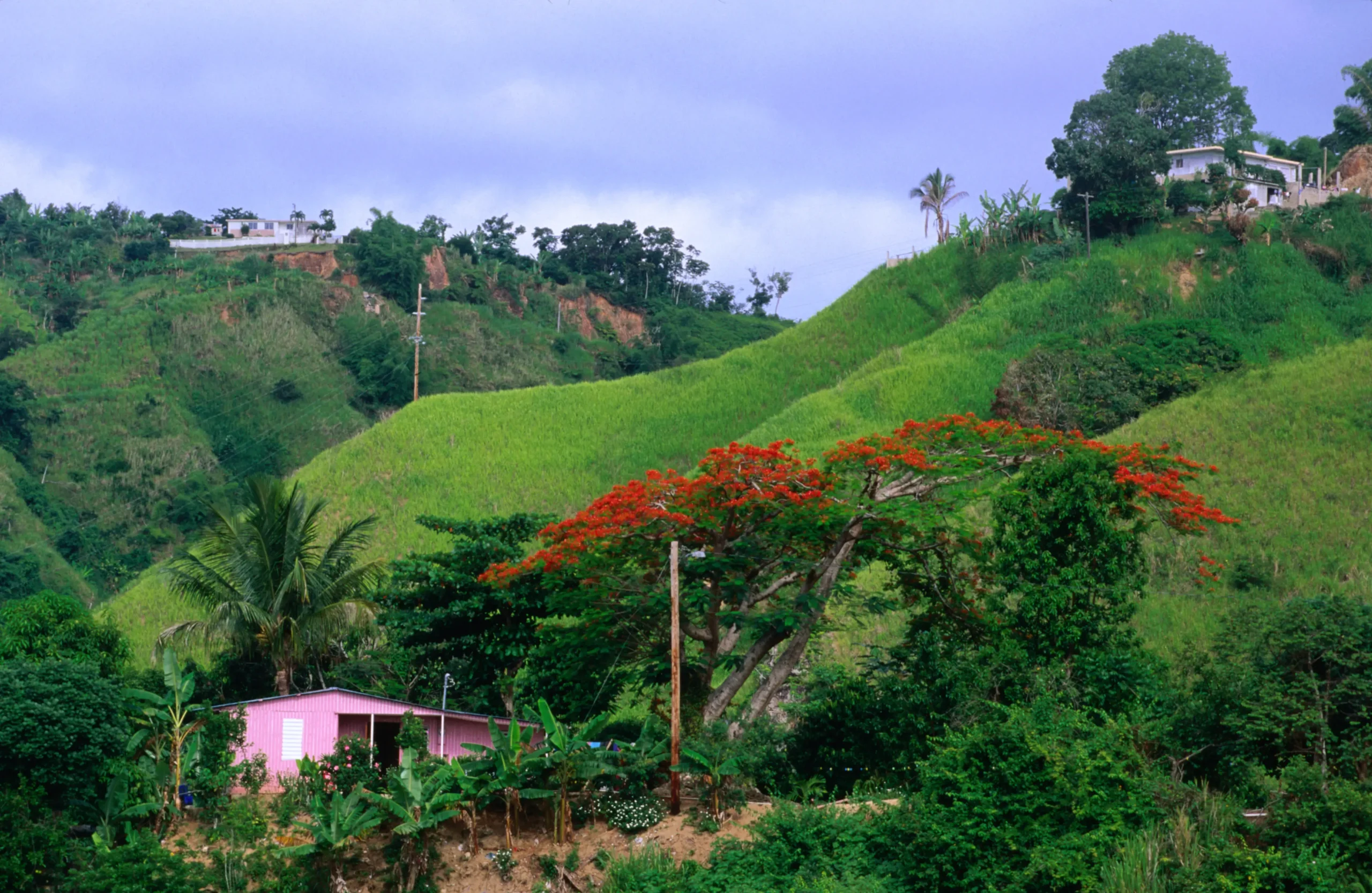 Paisaje de Puerto Rico