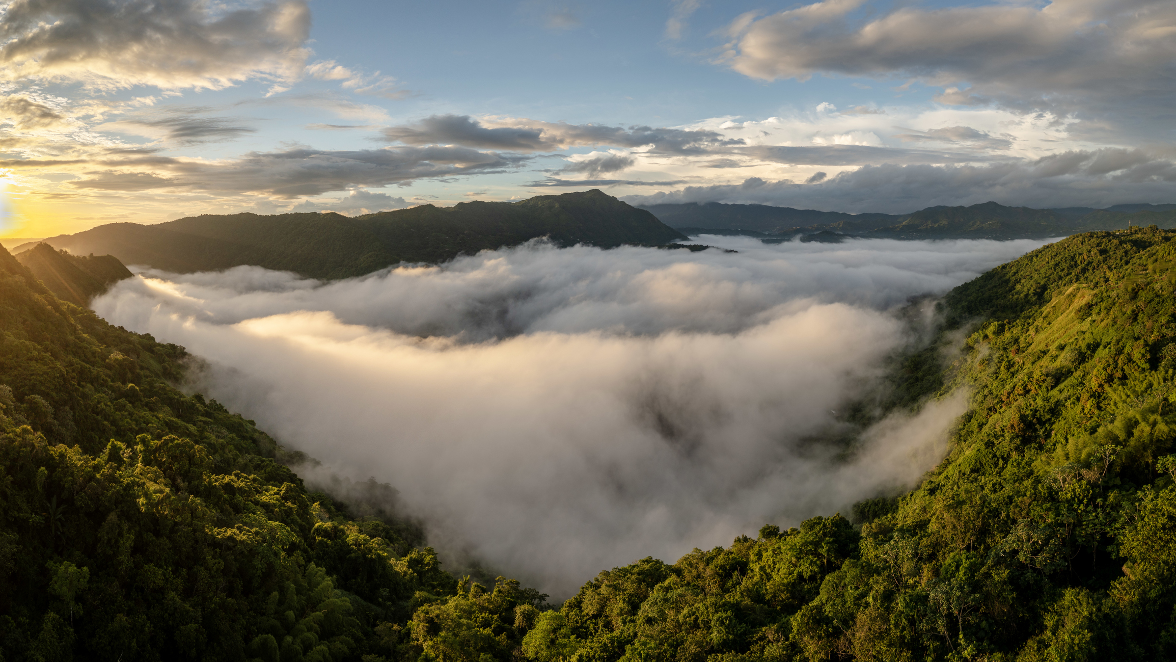 Campo puertorriqueño