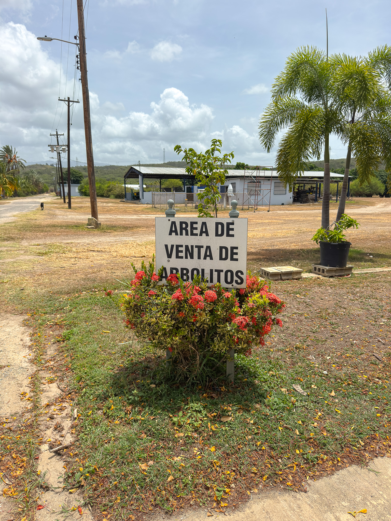 Cultivos