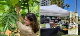 A la izquierda, Marisol Villalobos, CEO de Amasar. A la derecha, negocio Mi Panapén ofreciendo productos en un mercado local. (Suministradas a PlateaPR)