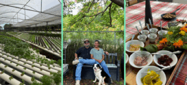 Frutos del Guacabo, una finca en Manatí con experiencias sensoriales, tours y más. (Fotos por Juan Santa para Platea)
