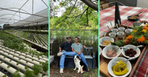 Frutos del Guacabo, una finca en Manatí con experiencias sensoriales, tours y más. (Fotos por Juan Santa para Platea)