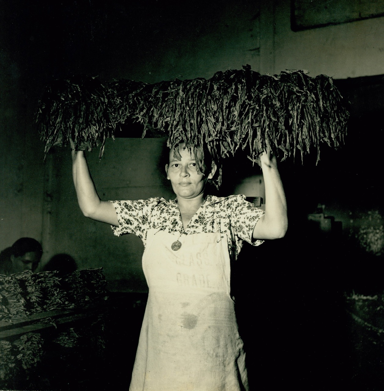 Mujeres trabajando tabaco